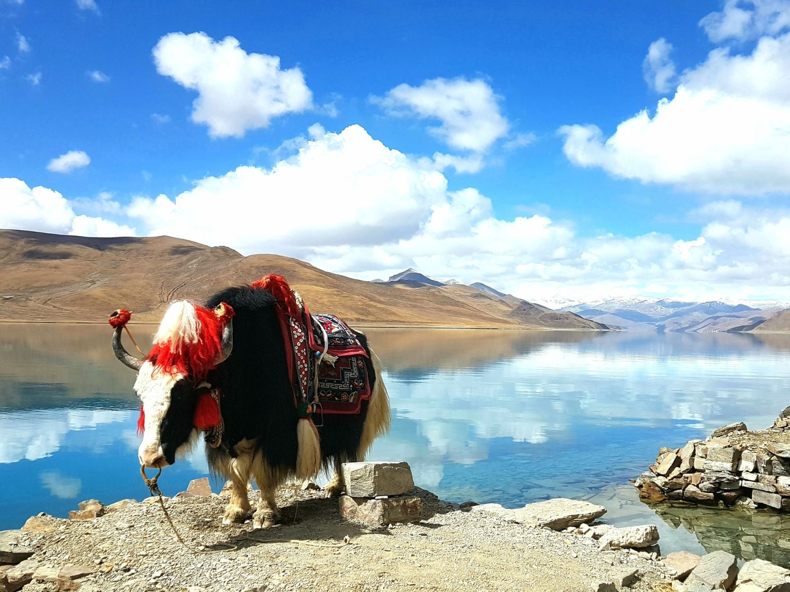 Everest from Tibet - Classic Overland Tour